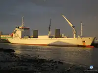 Navire frigorifique à vendre