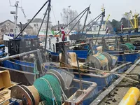 Navire transporteur de poissons vivants à vendre