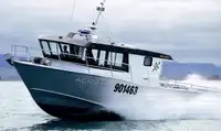 Navire-ferry à vendre