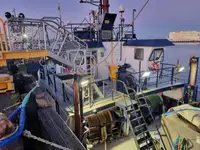 Métal de récupération à vendre