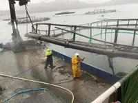 Bateaux de travail à vendre