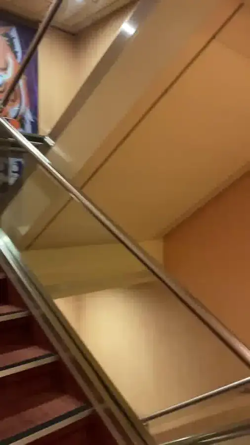 Navire de croisière à vendre