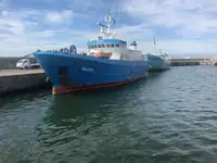 Navire frigorifique à vendre