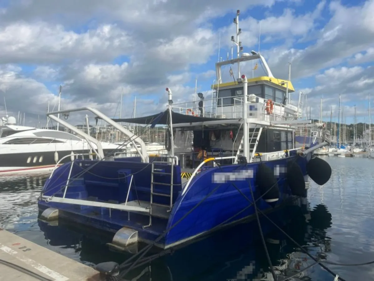 Navire d'arpentage à vendre