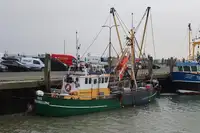 Chalutier à vendre