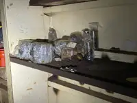 Drague à vendre