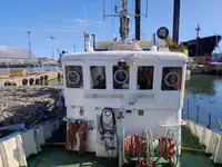 Remorqueur à vendre