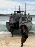 Bateau patrouilleur à vendre