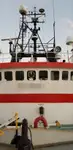 Navire frigorifique à vendre