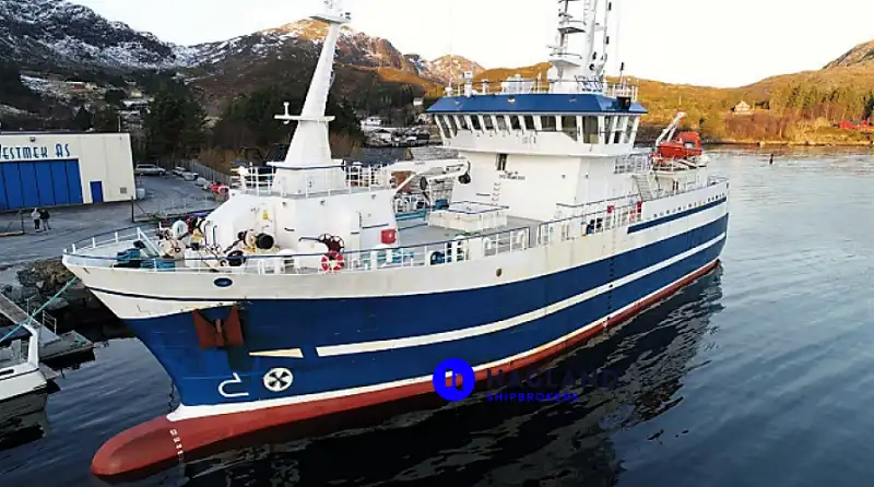 Palangrier à vendre