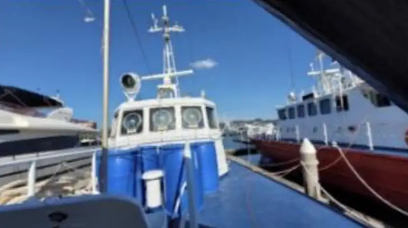 Bateau patrouilleur à vendre