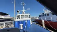 Bateau patrouilleur à vendre