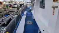 Catamaran à vendre