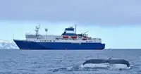 Navire RoPax à vendre