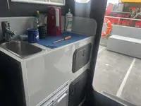 Catamaran à vendre