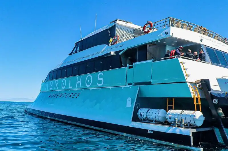 Navire de croisière à vendre