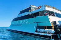Navire de croisière à vendre