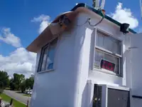 Remorqueur à vendre