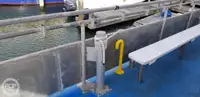 Catamaran à vendre