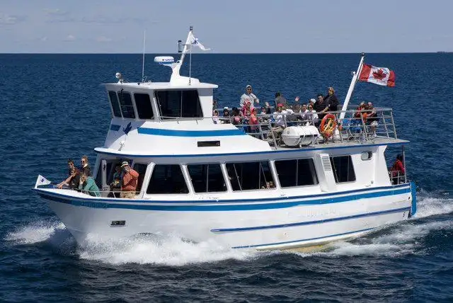 Navire de croisière à vendre