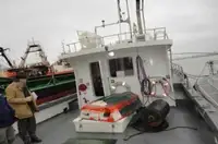 Bateau pilote à vendre