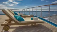 Navire de croisière à vendre