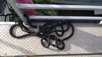 Navire porte-conteneurs à vendre