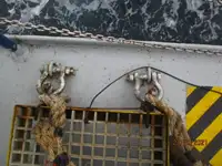 Navire frigorifique à vendre