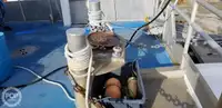 Catamaran à vendre