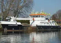 Vraquier à vendre