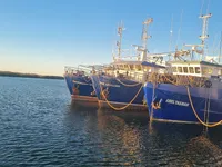 Chalutier à vendre
