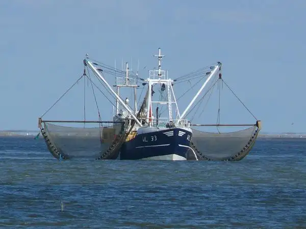 Chalutier à vendre