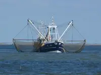 Chalutier à vendre