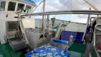 Chalutier à flottaison à vendre