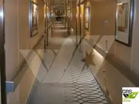 Navire de croisière à vendre