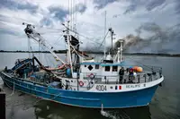 Chalutier à senne à vendre
