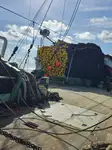 Purse seiner à vendre