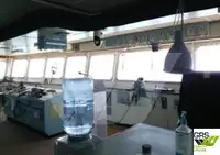 Navire de croisière à vendre