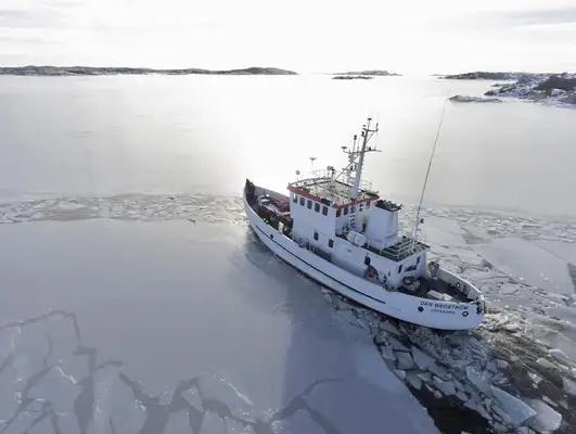 Towboat for sale