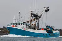 Chalutier à senne à vendre