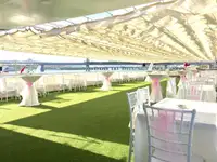Navire de croisière à vendre