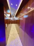 Navire de croisière à vendre