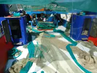 Trawler à vendre