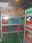 Navire frigorifique à vendre