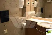 Navire de croisière à vendre
