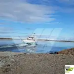 Navire Ro-Ro à vendre