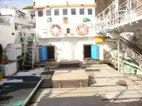 Palangrier à vendre