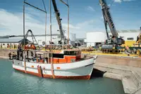 Trawler à vendre