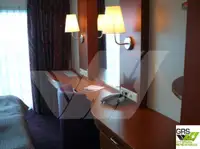 Navire de croisière à vendre
