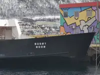 Navire Ro-Ro à vendre